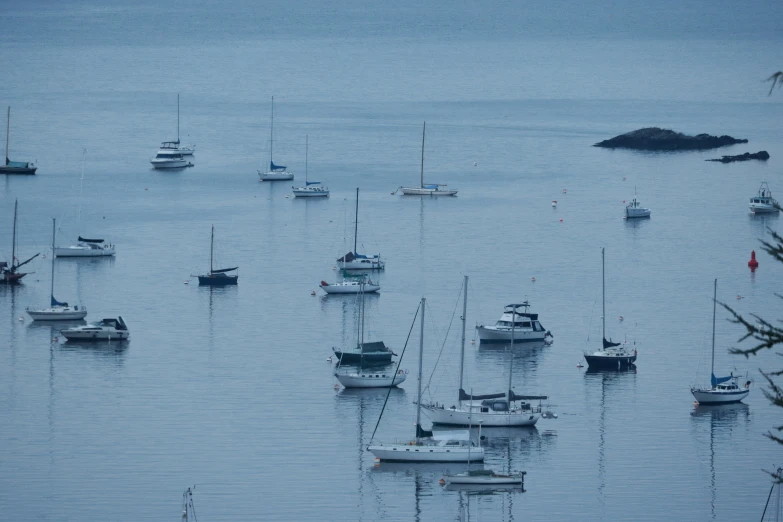 many sail boats are anchored in the calm waters