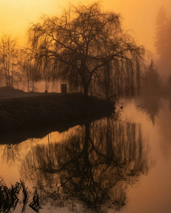 the view of a body of water with fog