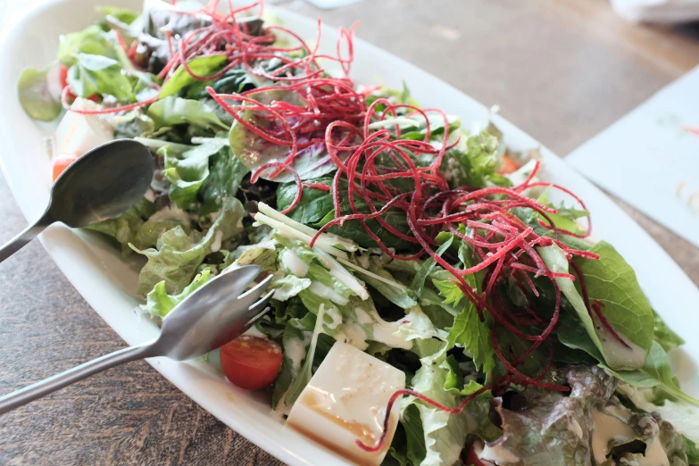 salad with utensils and meat on a plate