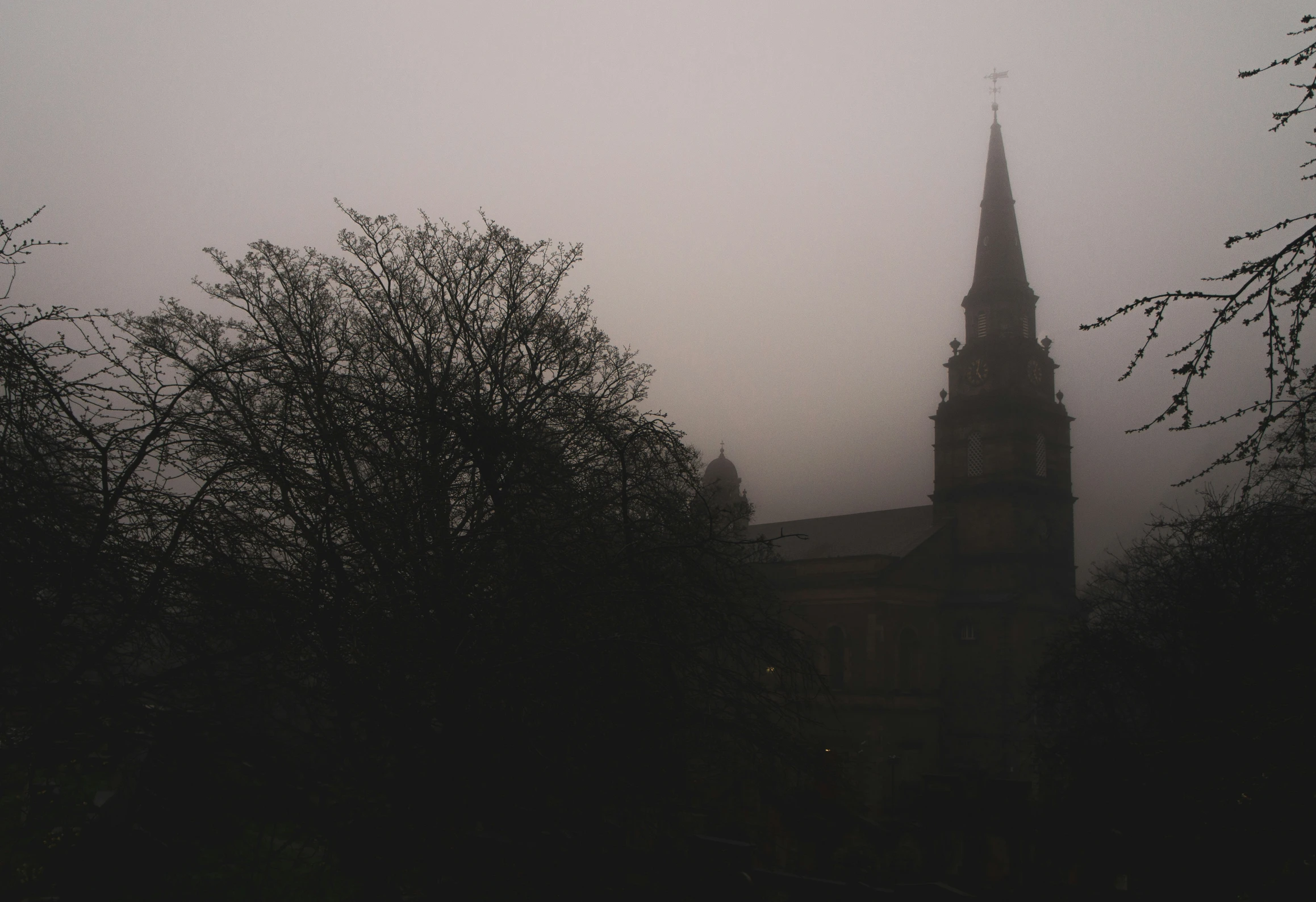 a tall church spire in front of a tree filled sky