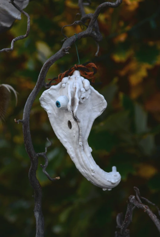 an animal's head hanging on a tree