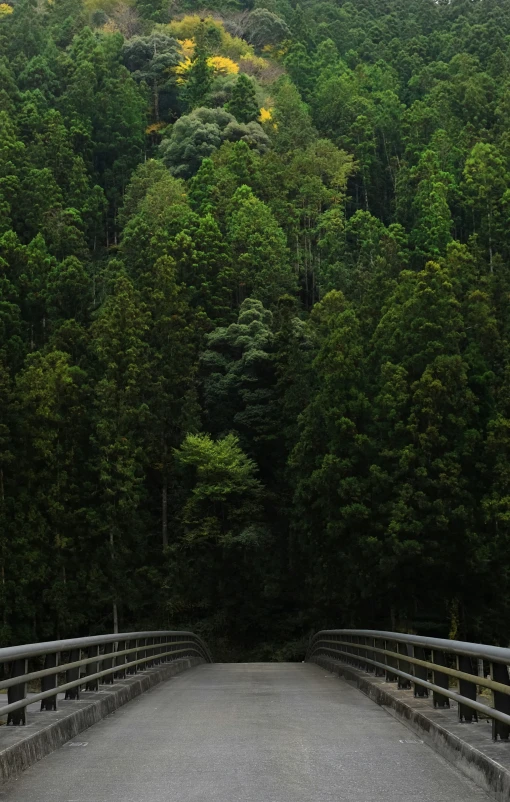 the bridge is between two green hills and trees