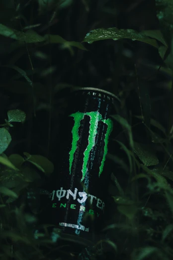 monster energy drink is being used in a dark forest