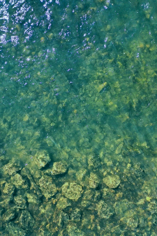 the surface of an expanse of water with many rocks under it