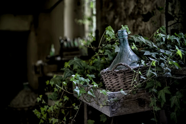 a bottle filled with green leaves and a basket