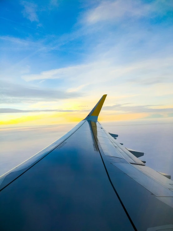 the wing of an airplane as seen from below