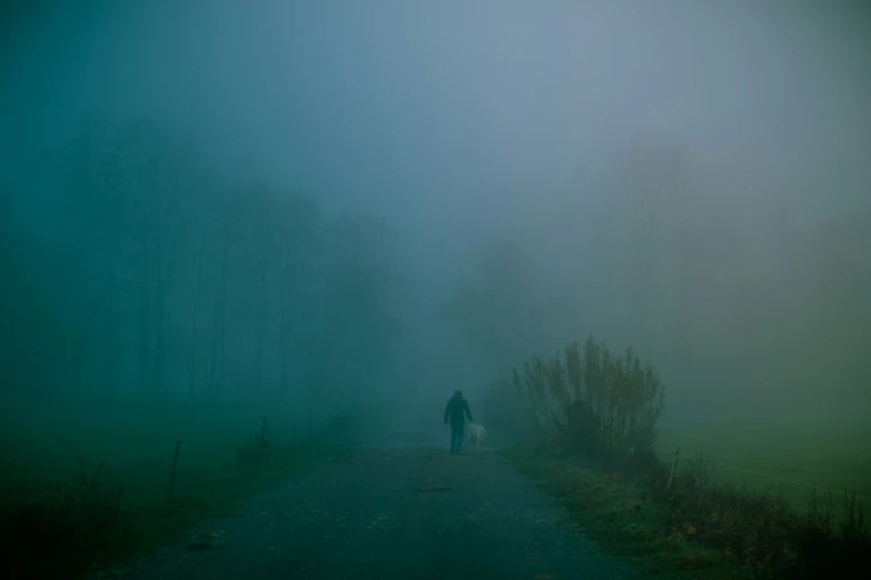 a person is walking alone on a foggy road