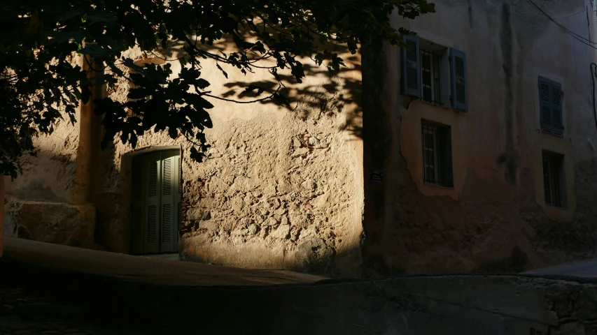 the shadow of the tree onto a building