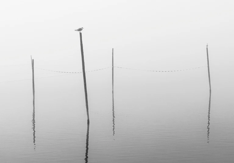 three poles sticking up in the foggy water