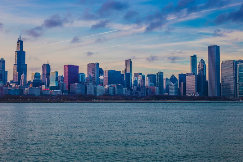 the city is surrounded by tall buildings and seagulls