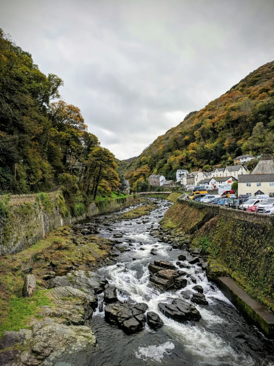 river flowing through small village with lots of trees