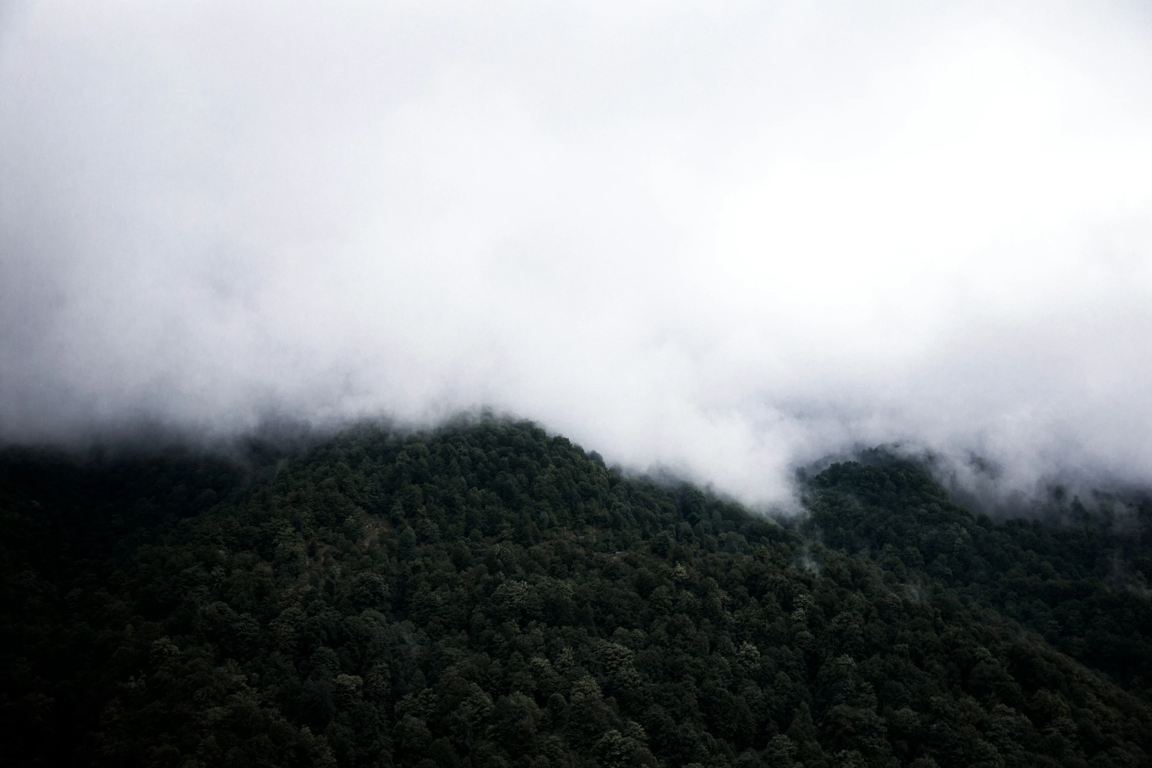 the sky above the hills is almost obscured by the mist