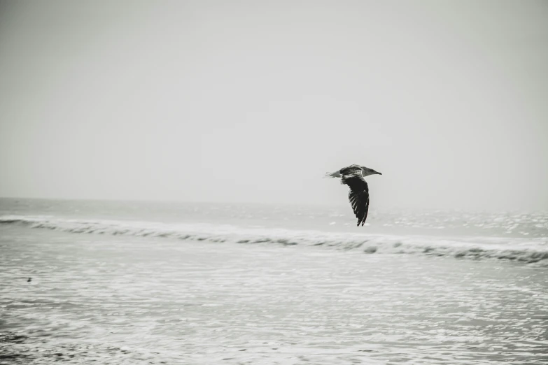 person flying away from the ocean with an umbrella