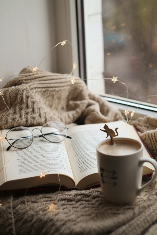 book and coffee sitting next to window on a fuzzy blanket