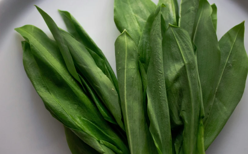 there are lots of green vegetables on the plate