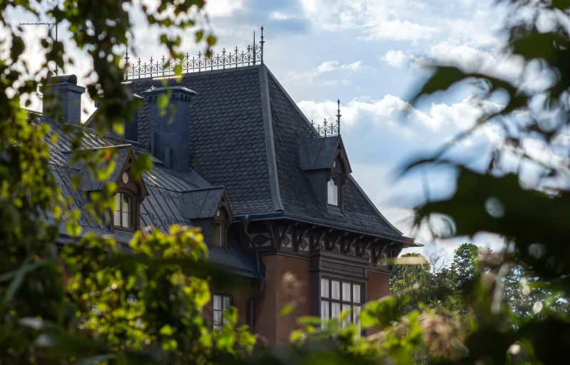 a house with a decorative roof and steeple surrounded by green leaves