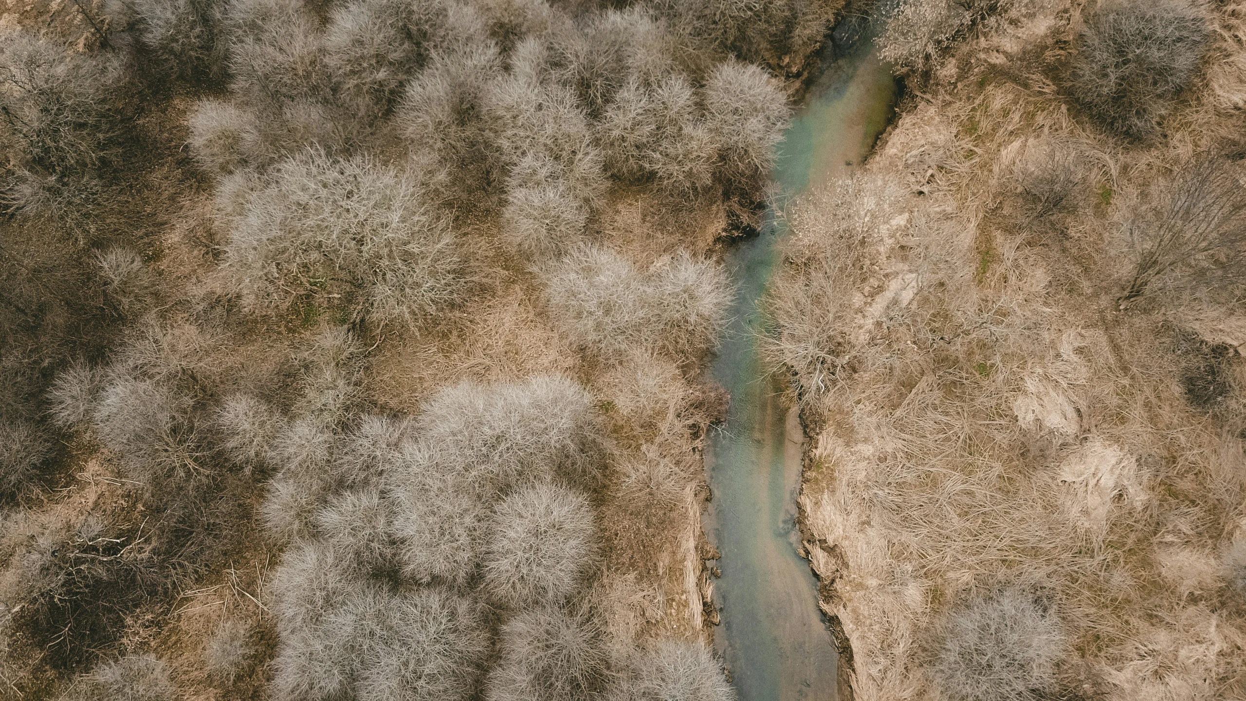 river flowing through a sandy patch of land