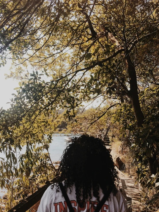 a person walking up steps through the woods