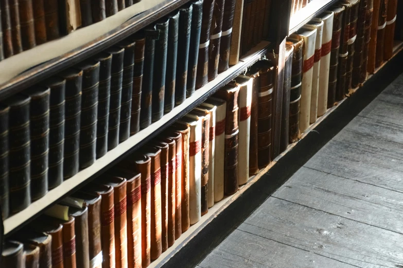 the large books are lined up on the wall