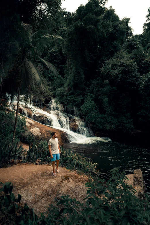 a person standing in front of some trees near the water