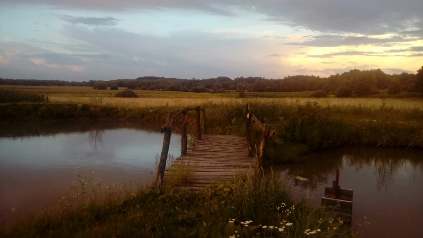 a boardwalk in a field near a body of water