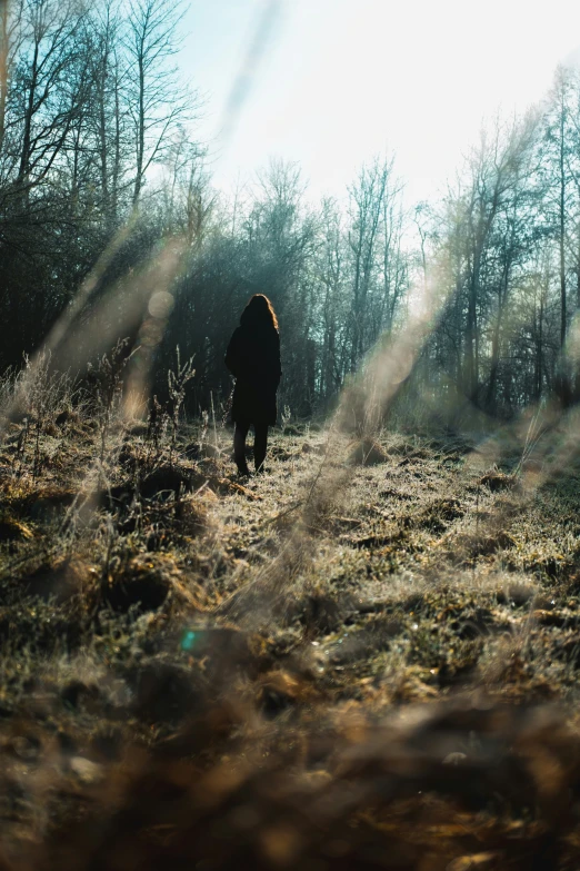 a person walking along the forest path in winter