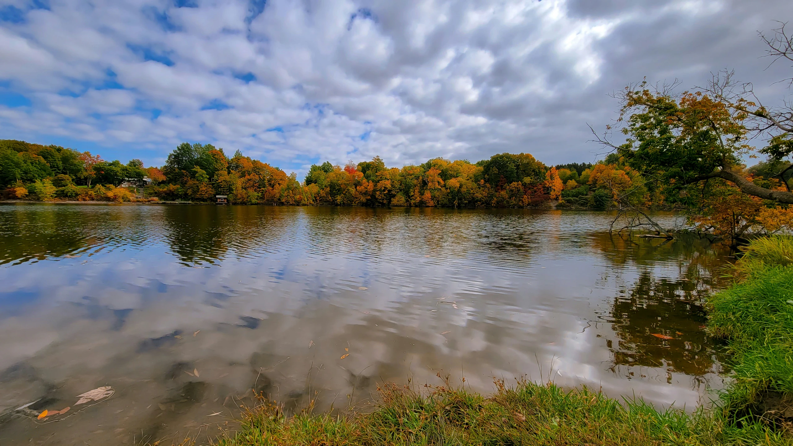 a cloudy sky and some trees on the shore