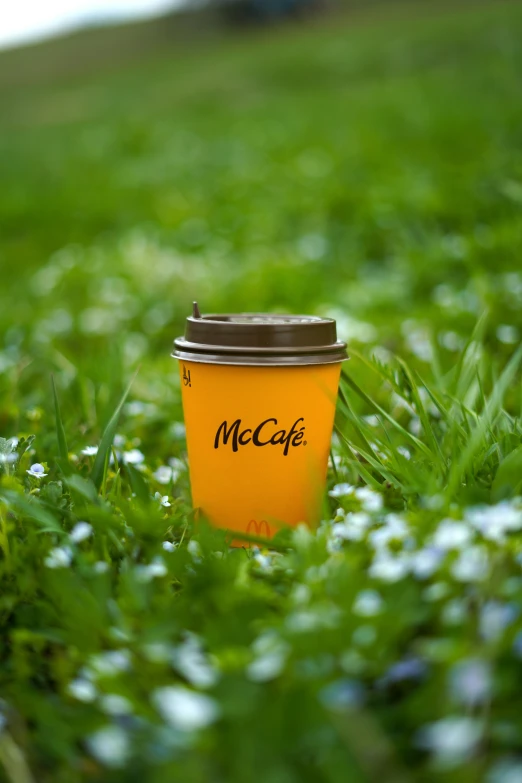 a yellow cup with a brown lid and the words mcc'caf on it is sitting in the grass