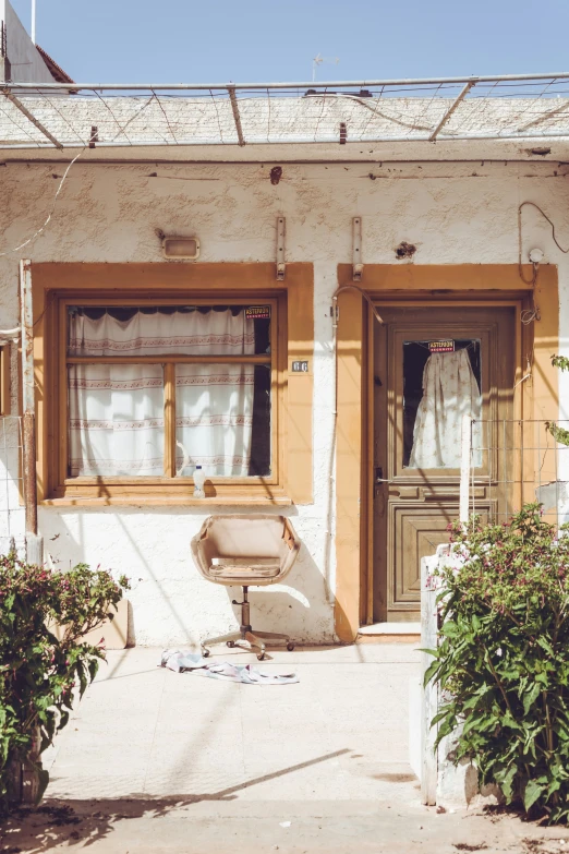 a house with a lot of windows, plants, and a bench in front