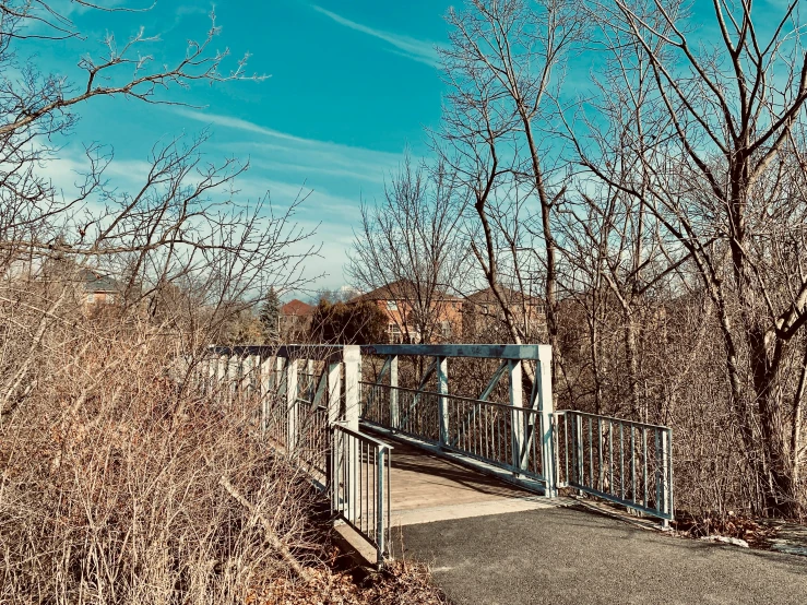 a white pedestrian bridge next to trees