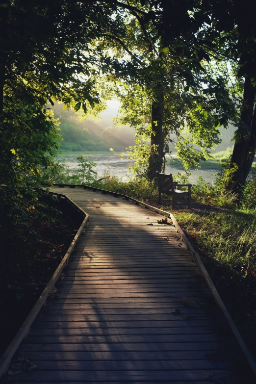 a bench is sitting along side the sun rays