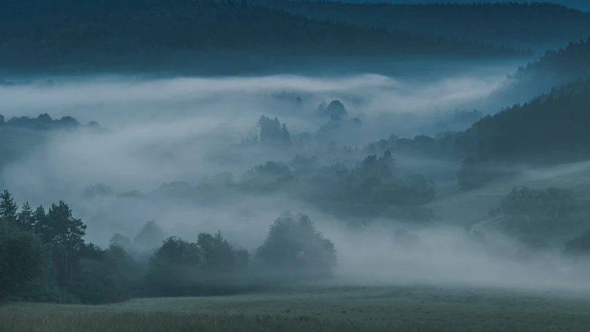 a foggy mountain filled with trees and fields
