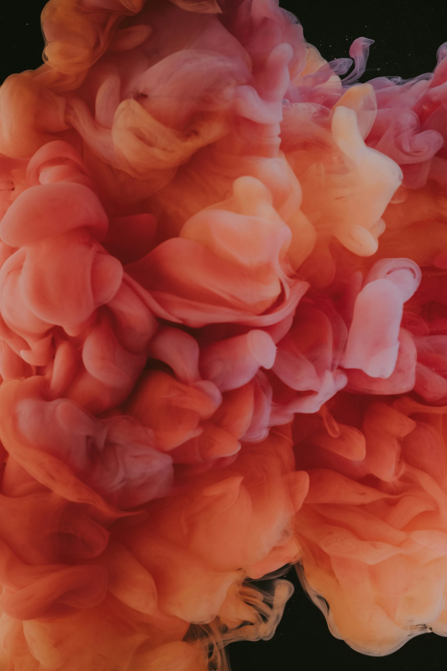 an orange and pink substance is being added to a picture