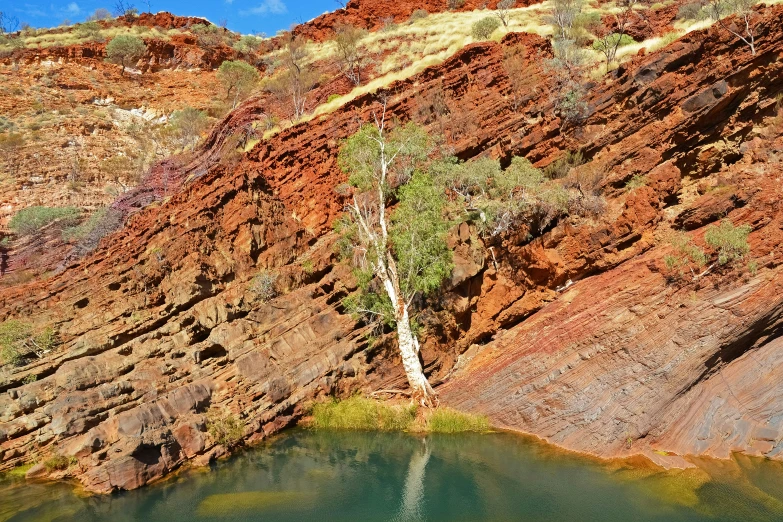 a body of water on a rocky cliff near a tree