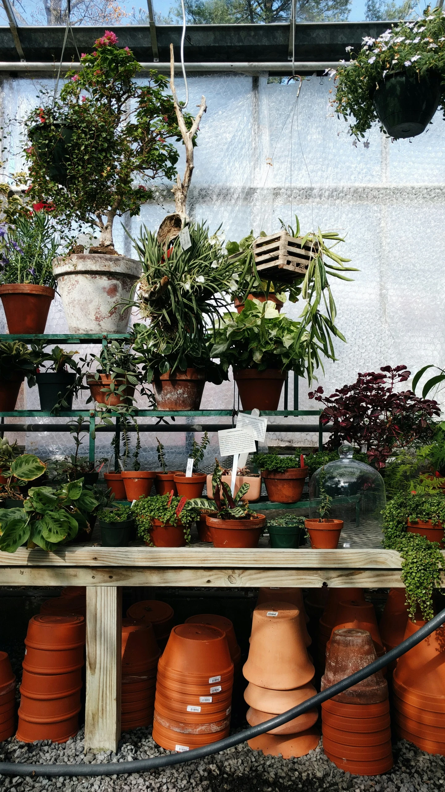 many pots on top of each other near some plants