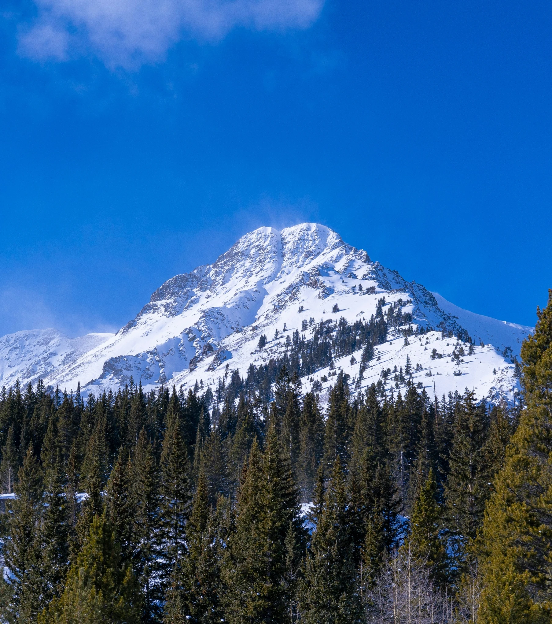 the mountains covered with snow are seen in the distance