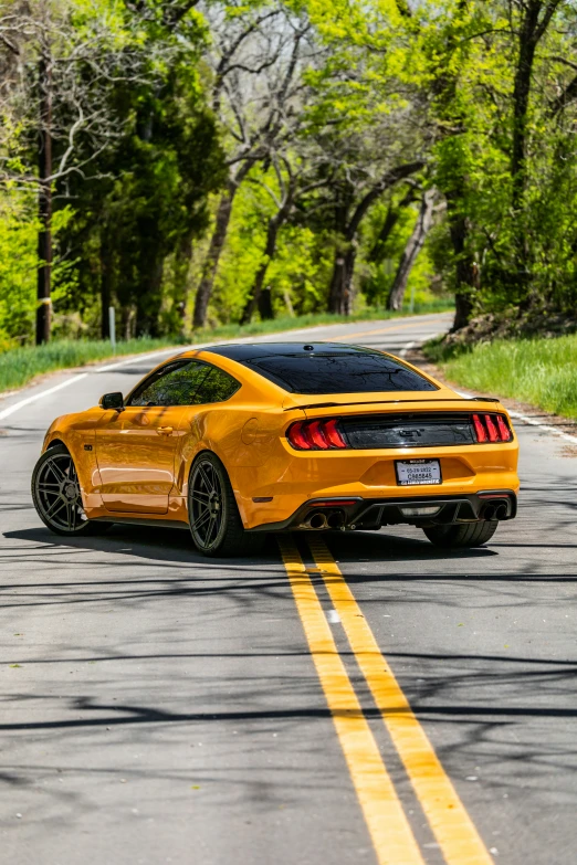 a mustang mustang drives down the road on a winding road