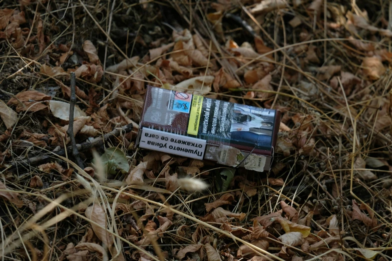 an unopened newspaper lying on the ground surrounded by some dead grass and flowers