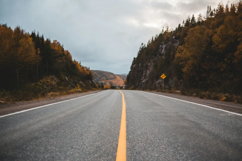 an empty road in front of trees on both sides