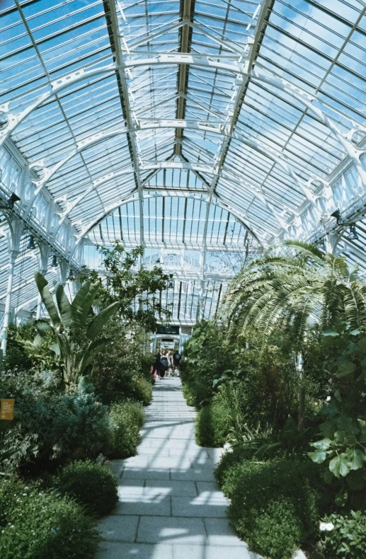 a walkway that runs through a building made of glass