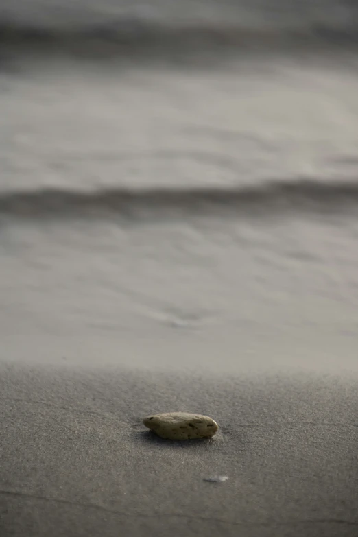 a rock sitting on the sand at the beach