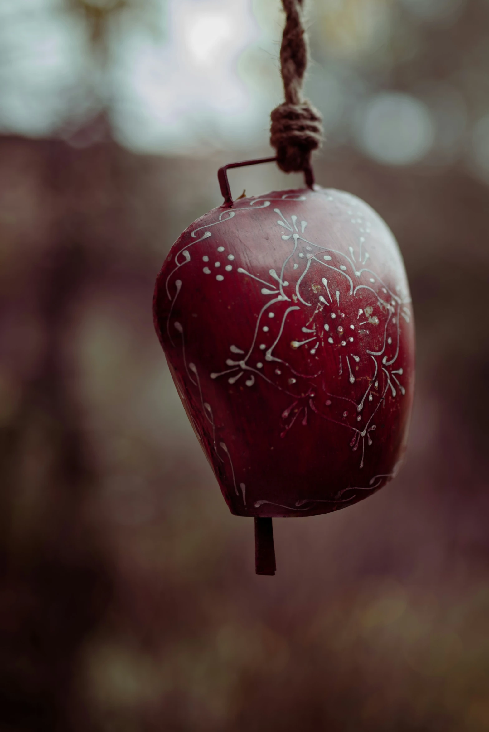 a red apple hanging on a rope