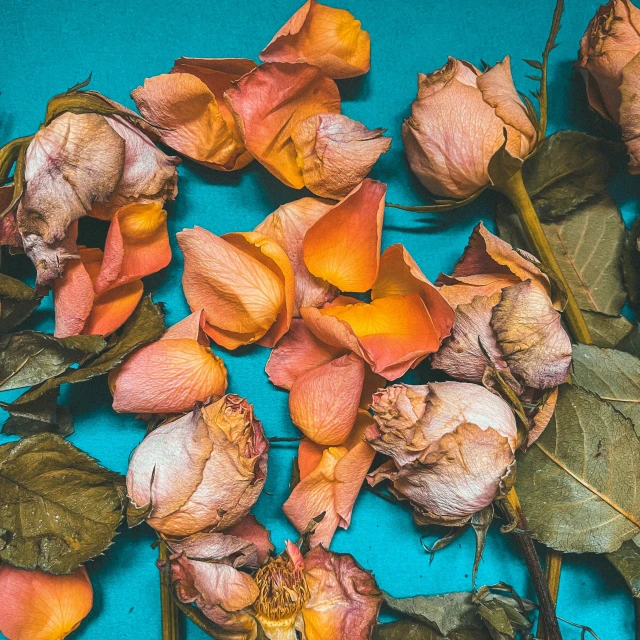 some flowers are still in the bush but have been washed