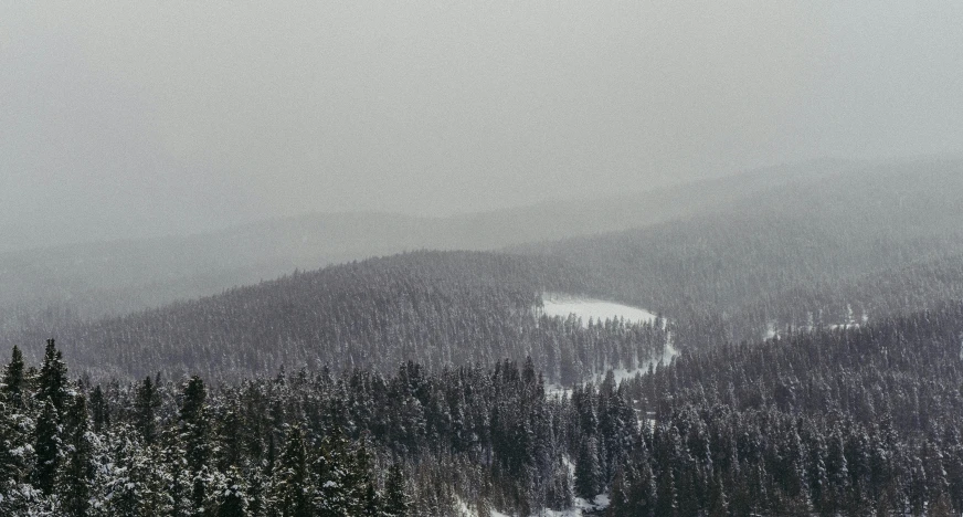 a forest filled with snow covered mountains next to evergreens