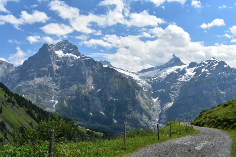 mountain valley with trees and grassy field on both sides