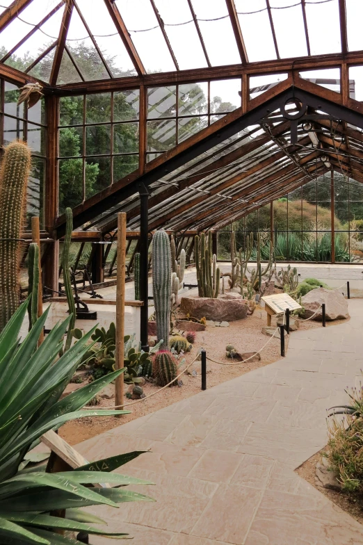 an open air greenhouse filled with lots of cactus