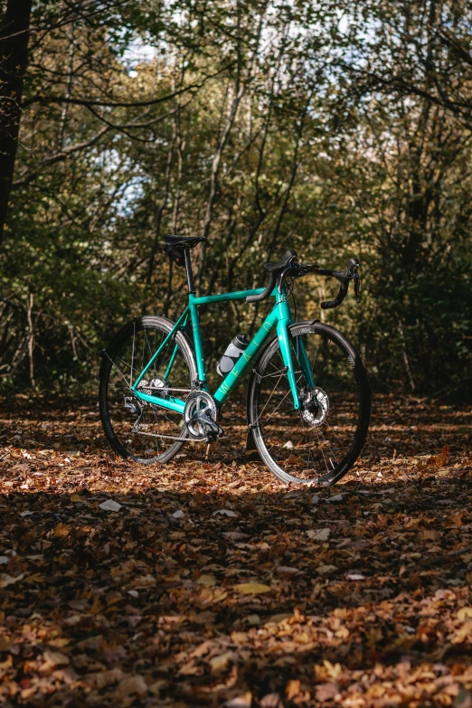 a blue bike is on a leaf strewn path