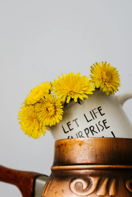 a brown pitcher with two yellow flowers in it