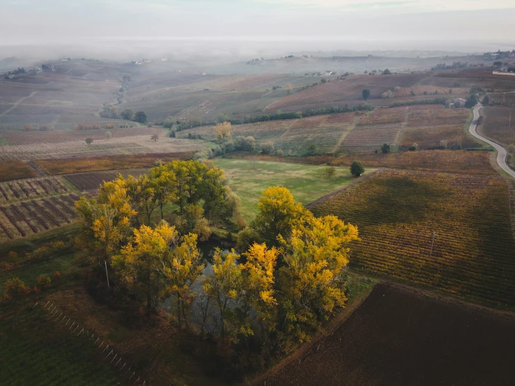 an overhead view of a country side with trees in the fall