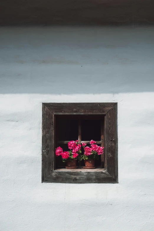 a window with pink flowers in it